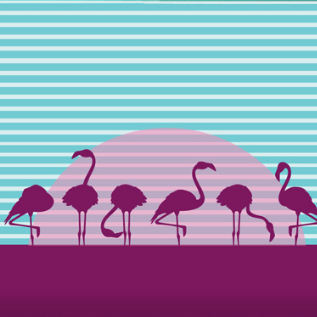 Sunrise Flamingos