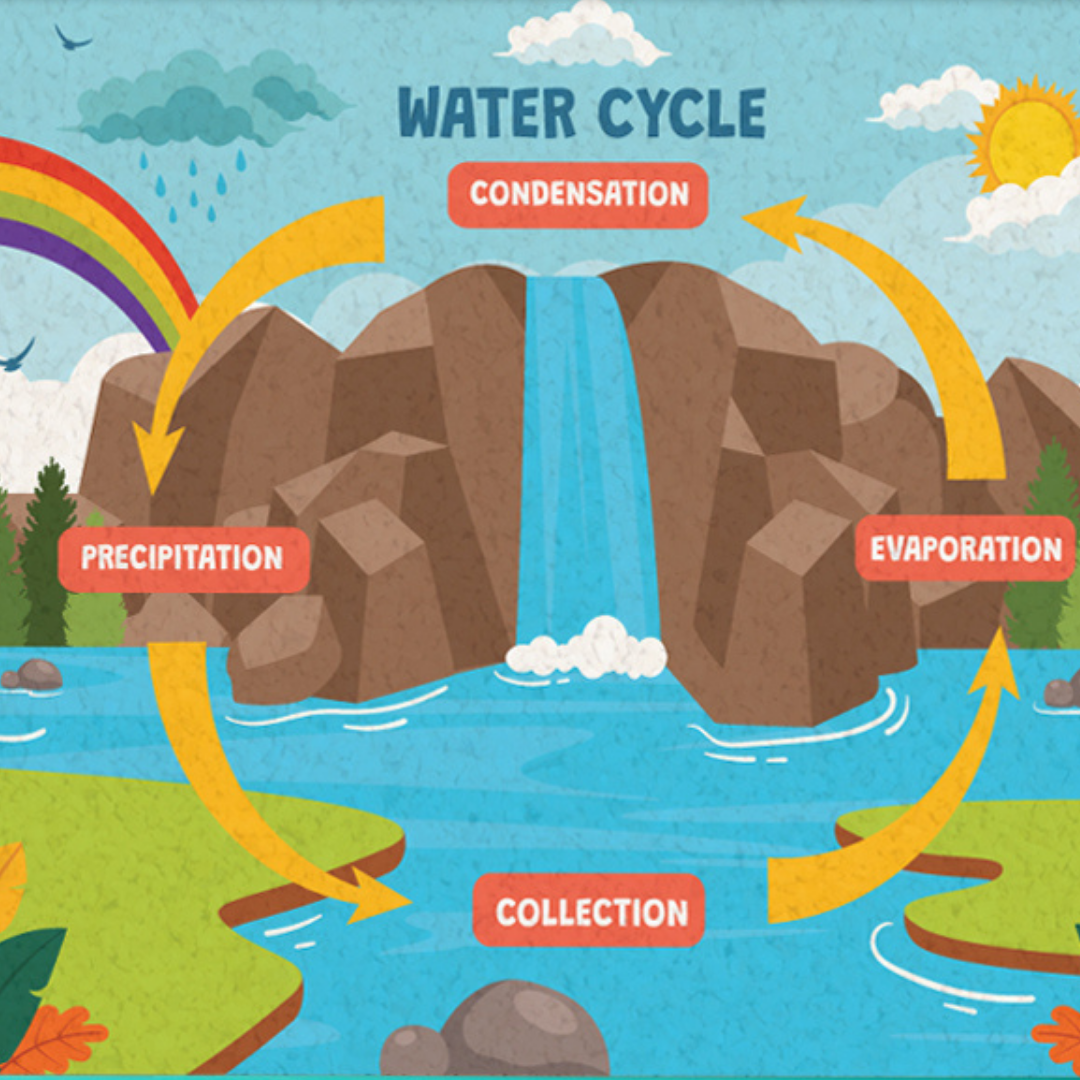 WATER CYCLE PINBOARD