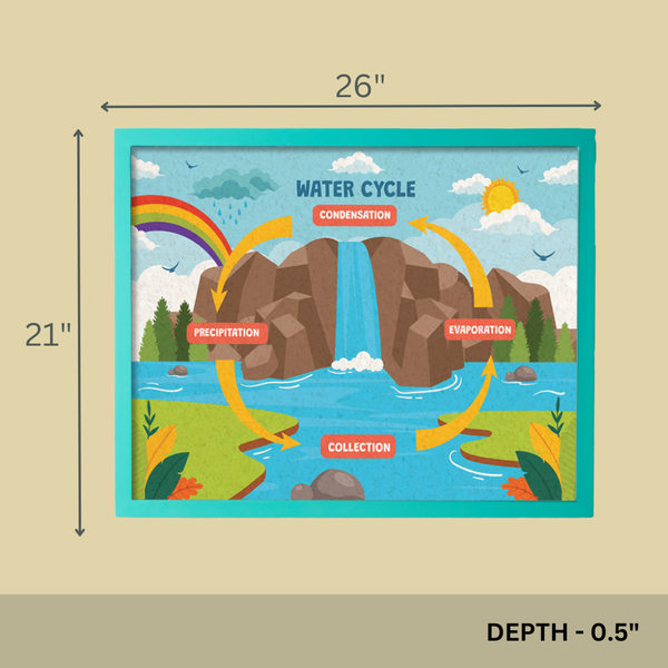 WATER CYCLE PINBOARD