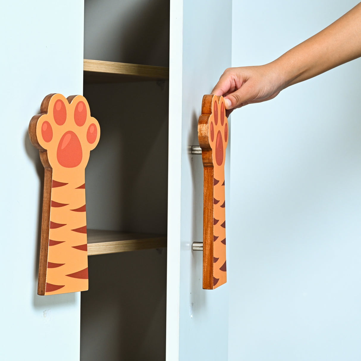 Tiger Paw  Cupboard Handles